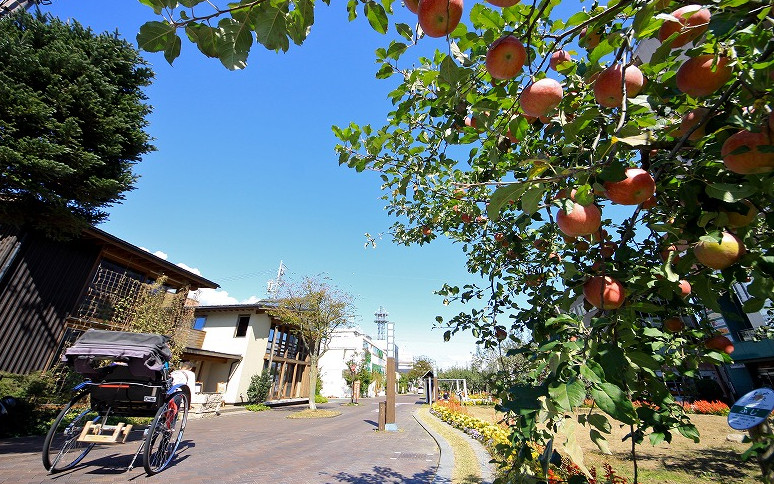 りんご並木の風景(飯田市)